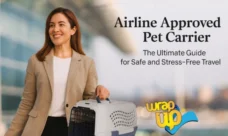 airline approved pet carrier